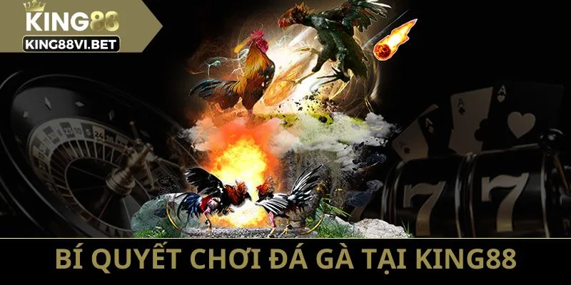 Bạn cần nắm vững các mẹo chơi và chiến thuật để thắng lớn tại đá gà King88