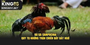 Đá gà Campuchia