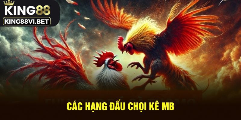 Hạng đấu đá gà