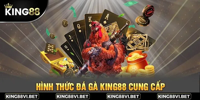 Tại King88, bạn có thể khám phá nhiều loại hình đá gà đặc sắc