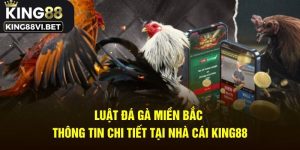 Luật đá gà miền Bắc